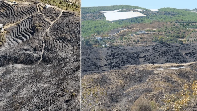 aci bilanco ortaya cikti antalyadaki orman yanginlarinin ardindan geriye gri manzara kaldi bin 350 hektar alan zarar gordu 1eRCIKAH