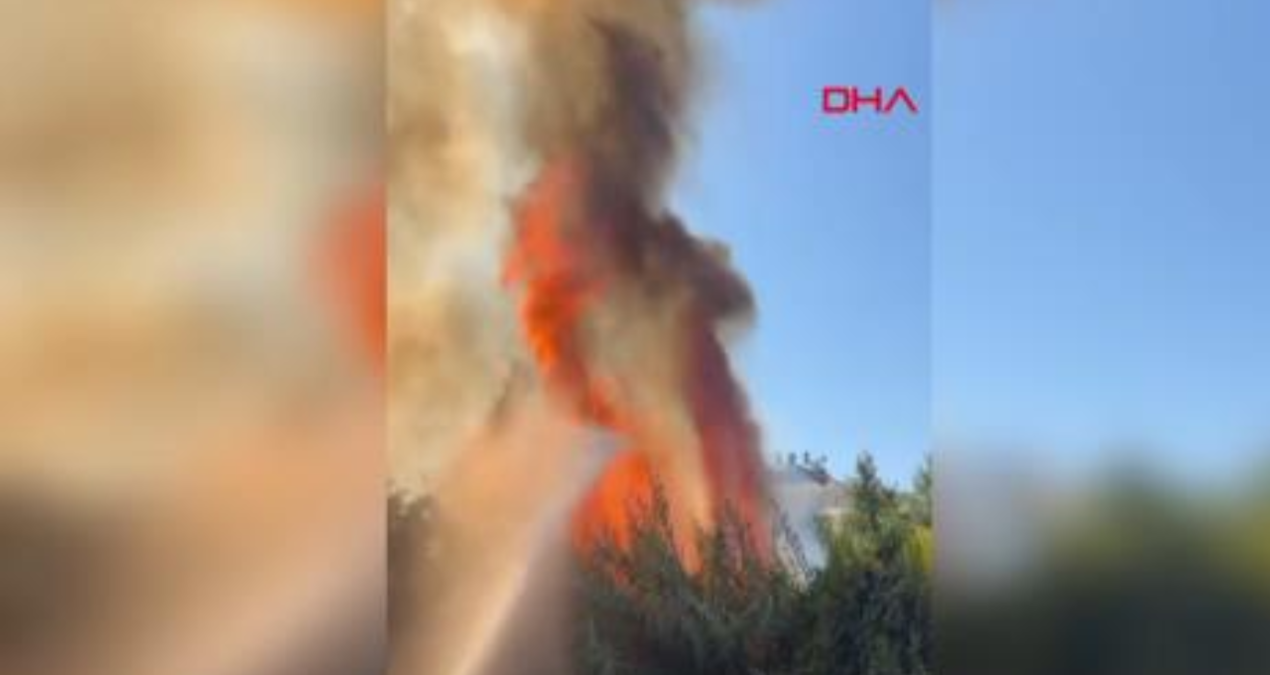 antalyada calilik yangini seralara sicradi KcEY7h4S