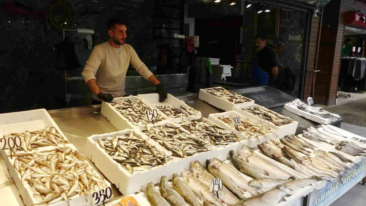 balikci palamuttan umudunu kesti hamsi ve istavrit ile teselli buluyor LKbnHVfF