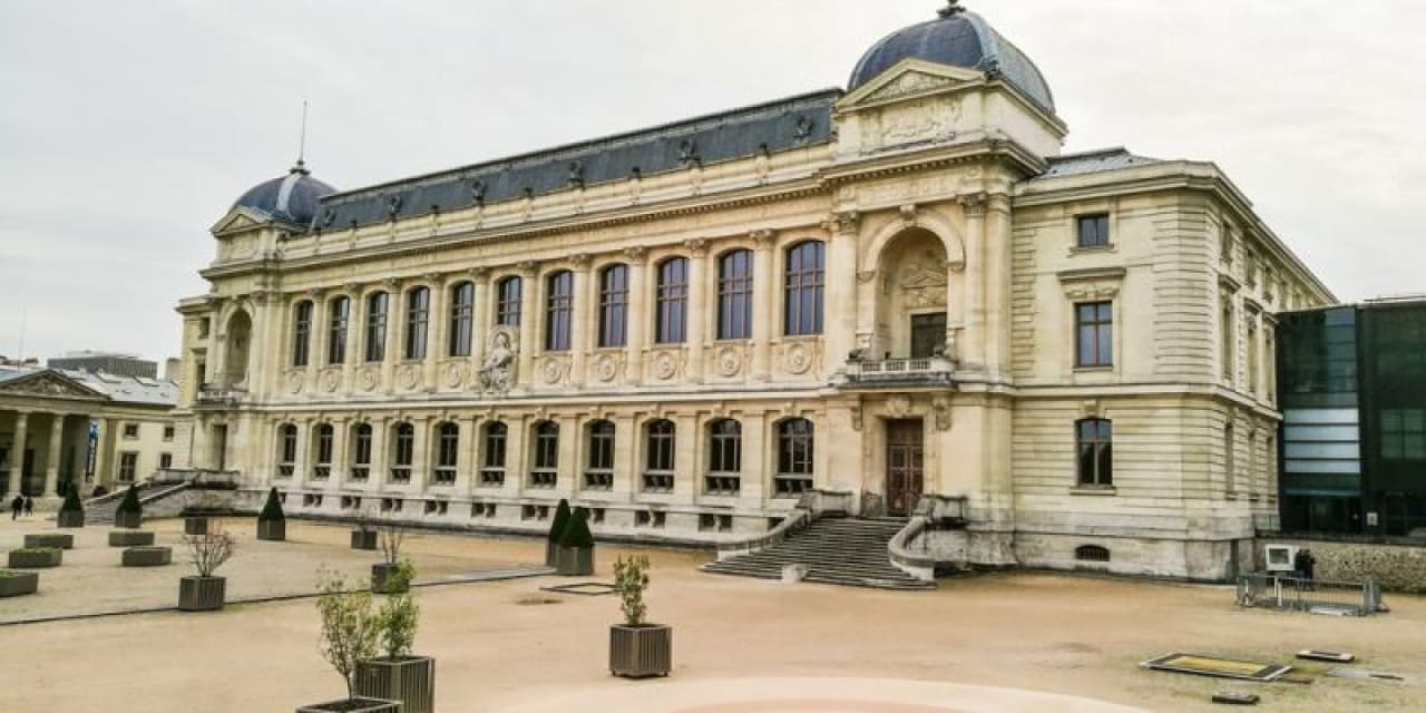 baskentte muze soygunu 29 milyonluk altin calindi niUQ4kin