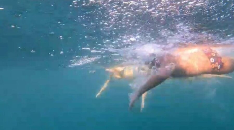 cebelitarik bogazini gecen otizmli tuna genclere ilham kaynagi oldu 7nPMyjpZ