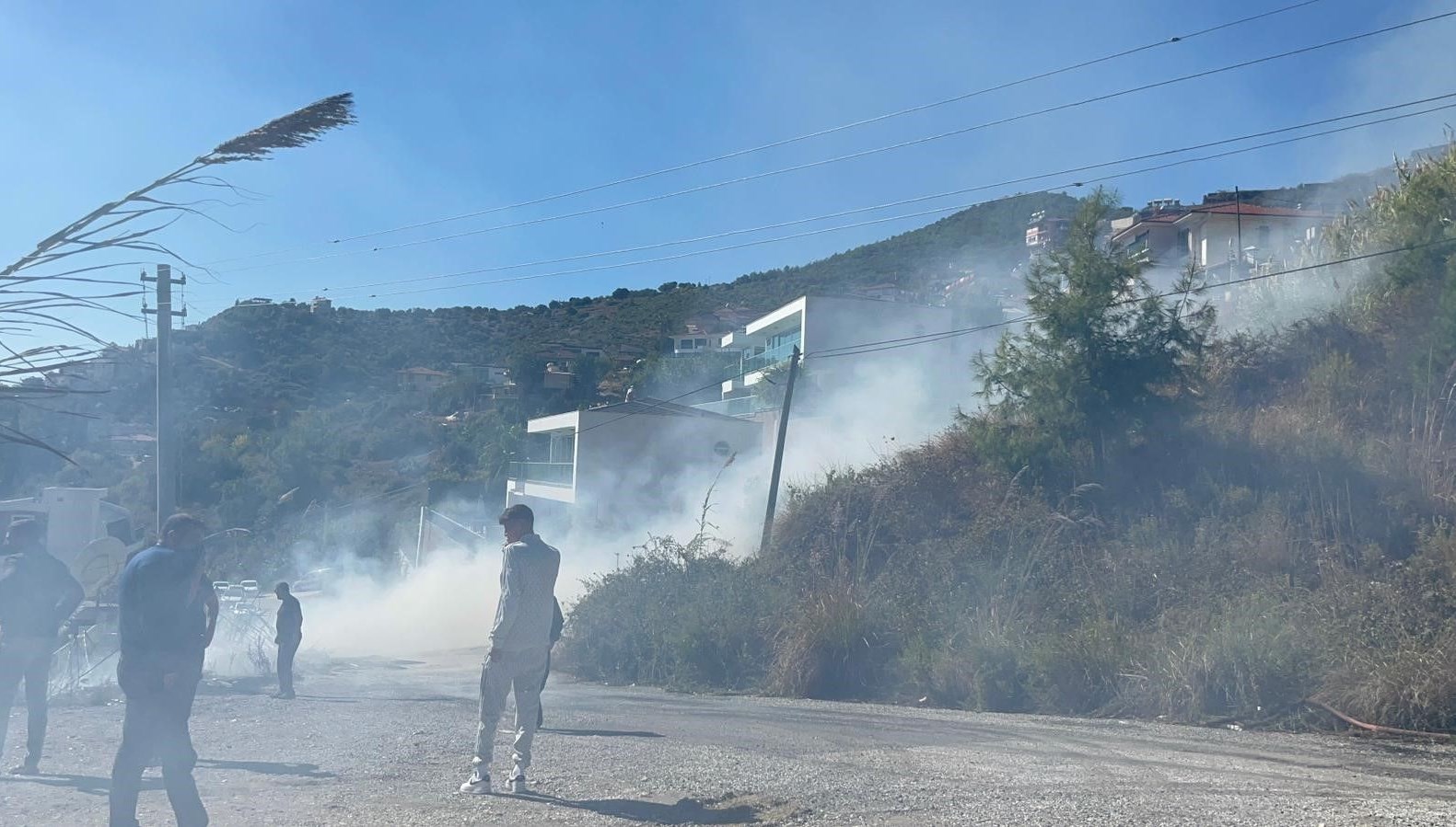 alanyada ormanlik alanda yangin OD8mLbwB.jpg