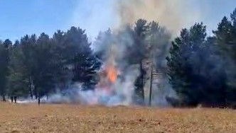 sarikamista orman yangini iWDr2GTR.jpg