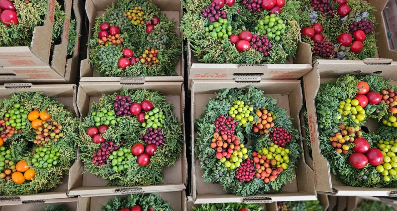 turkiyenin o koyunden kadinlar 20 yildir avrupanin gelenegine isik tuttu FiuaFgHS.jpg