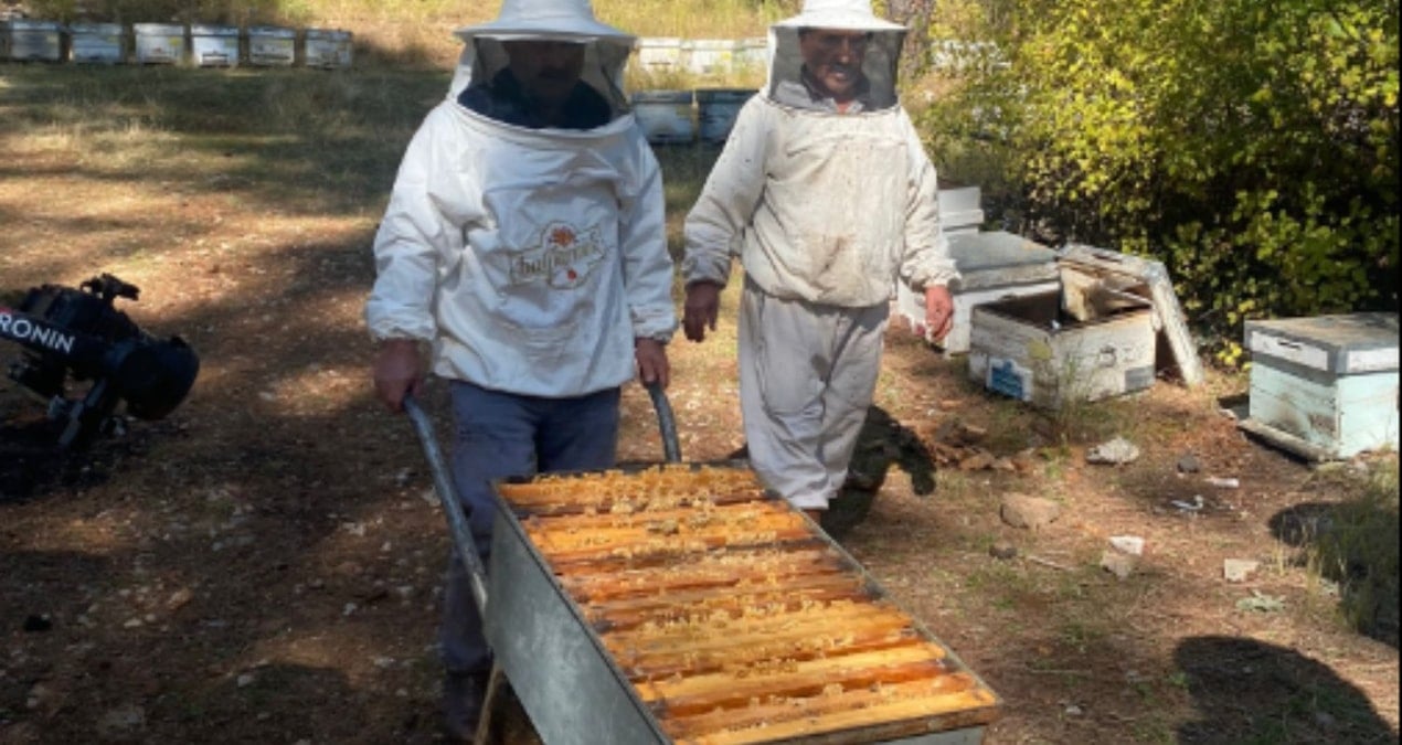 yangindan kacan arici mazota takildi 1fDiYwAZ.jpg