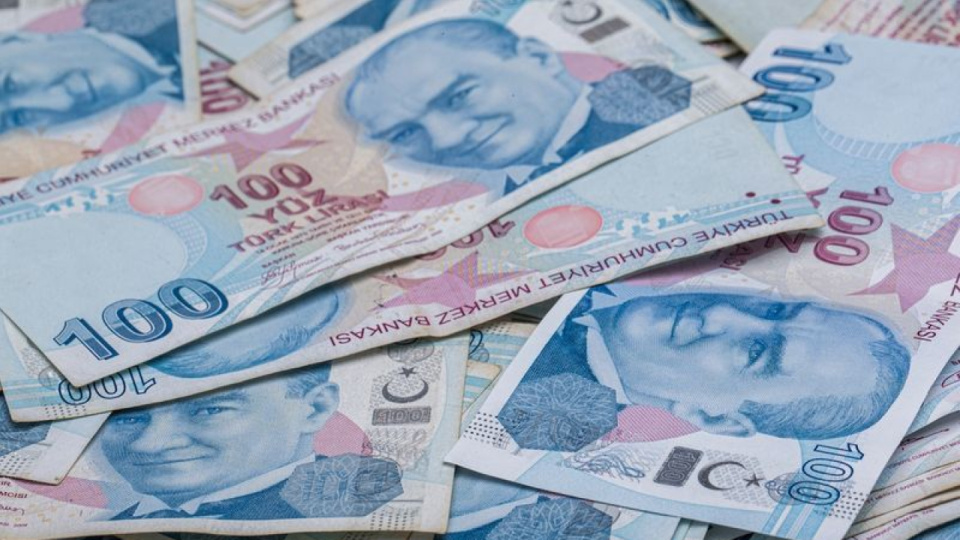 Sindirim Süreci ve Organları: Temel Bilgiler
