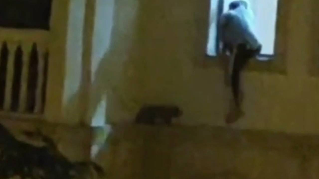 Mardin’de yürek ısıtan anlar: Mahsur kalan kedi için seferber oldular Mardinde yurek isitan anlar mahsur kalan kedi icin seferber oldular TxH5GU5M