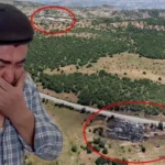 Sivasta duman faciasi iddiasi 5 gunde 9 buzagisi olen besici gozyaslariyla yardim istedi jb4QBtLI