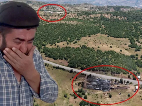 Sivasta duman faciasi iddiasi 5 gunde 9 buzagisi olen besici gozyaslariyla yardim istedi jb4QBtLI