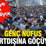 Turkiye kan kaybediyor genc nufus yurtdisina gocuyor TZJMvd3c
